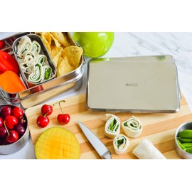 ecozoi Stainless Steel Lunch Chillers - Ice Packs for Lunch Bags, Lunch Boxes, Bento Boxes and Coolers - 2 Pack, Plastic-Free and Sustainable