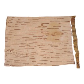BHAVICREATION Bhojpatra Betula Birch Betula Bark 2 pcs (Big Size= 12 x 9 inch) Bhojpatra Sheets Writing Sacred Mantras(, Natural