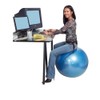 Gymnic Classic Plus Burst-Resistant Exercise Ball, Blue (65 cm)