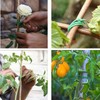 65.5 Feet Twist Ties for Climbing Plants Green Gear Ties