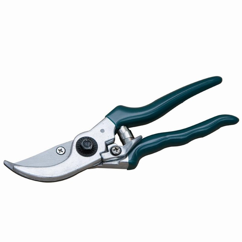 Siena Garden 560866 Garden & Rose Shears, Flower Shears, Green