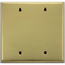 Polished Brass 2 Gang Blank Wall Plate