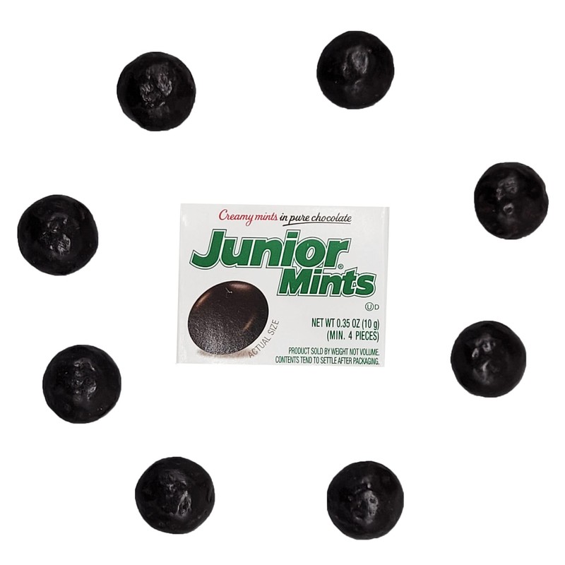 Fruidles Creamy Junior Mint Candies Covered In Pure Chocolate, Peanut-Free,