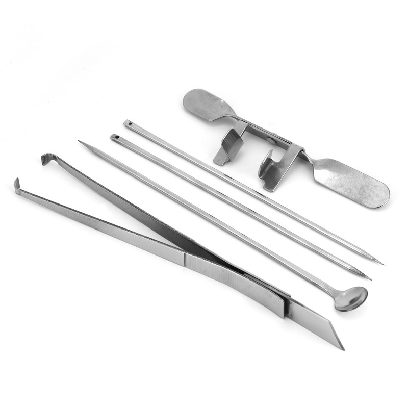 5Pcs Capon Knife Tool Stainless Steel Kit Poultry Farms Veterinary