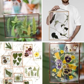 100 Sheets Laser Transparency Film 8.5x11 Color Transparent Paper OHP Clear Overhead Projector Film