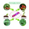 Wuhuu Indoor Greenhouse with Grow Lights, 4 Tier 27.2" L×19.9"