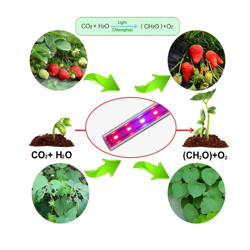 Wuhuu Indoor Greenhouse with Grow Lights, 4 Tier 27.2" L×19.9"
