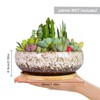 ARTKETTY Succulent Pots - 7.5 Inch Large Plant Pot with