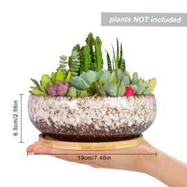 ARTKETTY Succulent Pots - 7.5 Inch Large Plant Pot with Bamboo Tray, Shallow Bonsai Pots with Drainage, Ceramic Planter for Indoor Plants, Cactus, Home Office Desk Decor