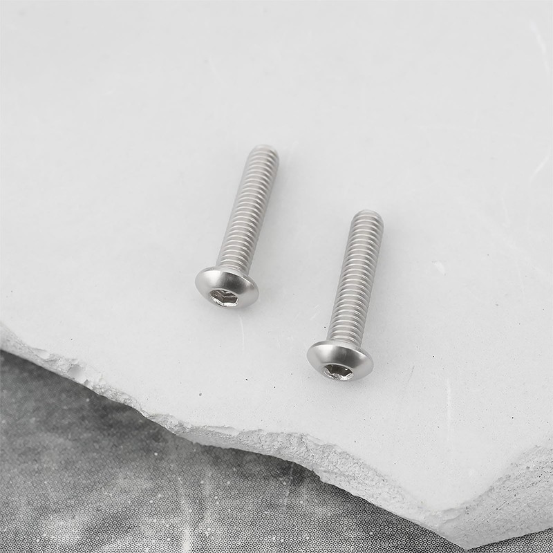 Briny River 20pcs Saddle Intonation Screws M3x14mm Stainless Steel Compatible