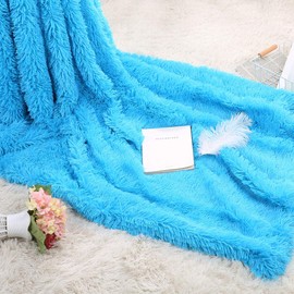 Plush Super Soft Blanket Bedding Sofa Cover Furry Fuzzy Fur Warm Throw Qulit Cozy Couch Blanket for Winter (51"x63", Sky Blue)