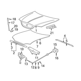 SCHNORKEL 2PCS 19.31 Inch Front Hood Struts Lift Supports compatible with HYUNDAI 02-05 SONATA Sedan 4-Door Shock Gas Spring Prop Rod