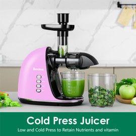 Slow Masticating Juicer,Brecious Cold Press Juicer with 2 Speed Modes & Quiet Motor,Juicer Machines Vegetable and Fruit with Reverse Function,Celery Juicer,BPA-Free,Easy to Clean (Purple）