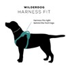 Wilderdog Lightweight Dog Harness with Reflective Straps - Small -
