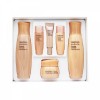 Enprani Bulk order of TBZ BTM Anprani Daysis essential 3-piece