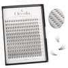 Oreola 20D Cluster Eyelashes, Individual 0.07D, 8-15 mm, Mixed Length,