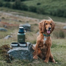 Green stainless steel outdoor portable dog water bottle and insulated flask with detachable bowls and multifunctional lid for long walks, days out and travel - 32oz/910ml