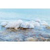 Ever Since - Dead Sea Salt Scrub - 250ml (Blossom)
