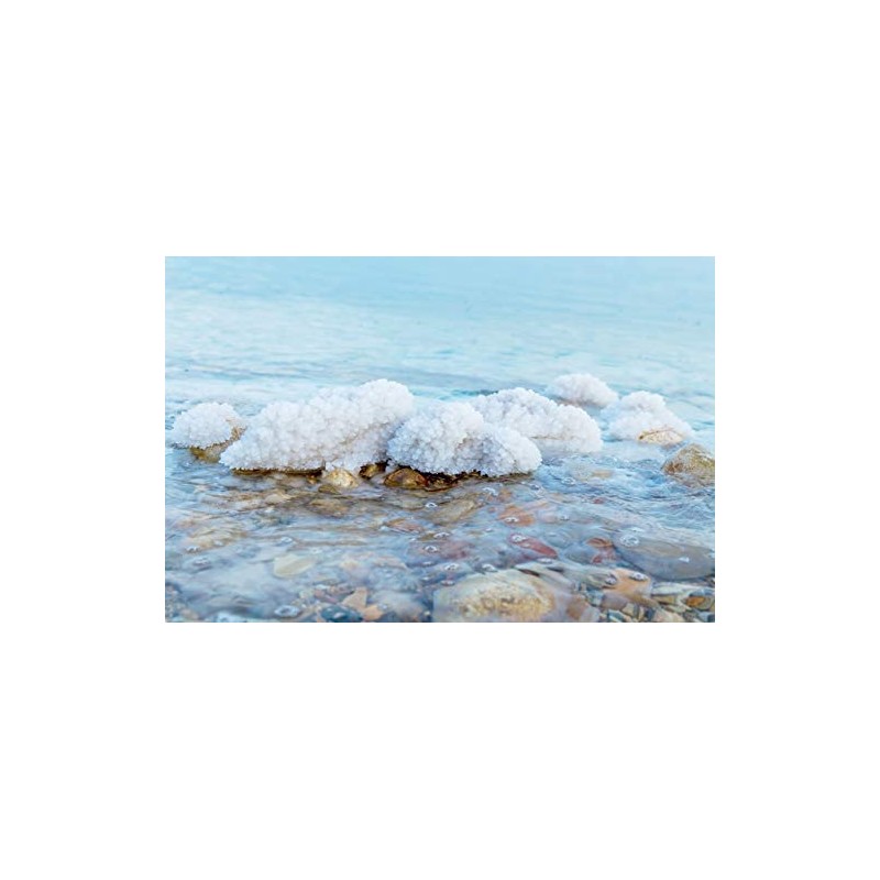 Ever Since - Dead Sea Salt Scrub - 250ml (Blossom)