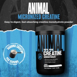 Animal Creatine Monohydrate Powder - Micronized Creatine for Women and Men, Supports Muscle Growth, Strength, Endurance, Recovery and ATP Production, Gym & Workout Supplements - Unflavored, 500g
