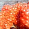 Onions Fresh Mesh Bag 10 Pcs, 20" x31" Potato Storage