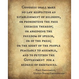First 1st Amendment US Constitution News Lawyer Attorney American Freedom Press Media Religion Free Speech protest civil rights History Teachers Back to School education poster