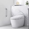 Dazone 2Pcs Grab Bar Bathroom Stainless Steel Safety Handicap Shower