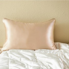 PROMEED 23 Momme Silk Pillowcase with Hyaluronic Acid(HA), Hydrating Silk Pillow Case for Hair and Skin, Both Sides 100% Grade 6A+ Mulberry Silk (Champagne, Standard-20 x26)