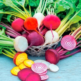 Southeast Seeds Rainbow Mix Beet Seeds, 4 Species, (Detroit Dark Red & Golden, Chioggia, White) - 150 Seeds or 1/8 OZ