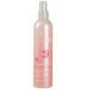 Evessel 이브셀 부여한 리프레싱 투페이스 260ml Evesell Refreshing Two Phase 260ml