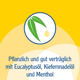 Pini Menthol erkält. Ointment Eucalyptus Pine Cream 100 g