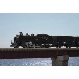 Z Gauge T019-8 National Railway C11 No. 209 Hokkaido 2 Light Type Railway Model Steam Locomotive
