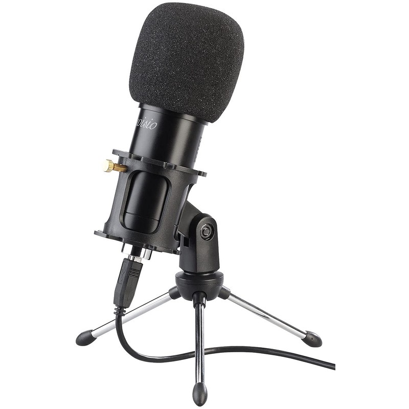 auvisio Microphone: Set of 2 Professional USB Condenser Microphones, High-Performance,