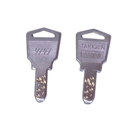Woodpecker Hildegard (Genuine Child Keys Key) 1873 #