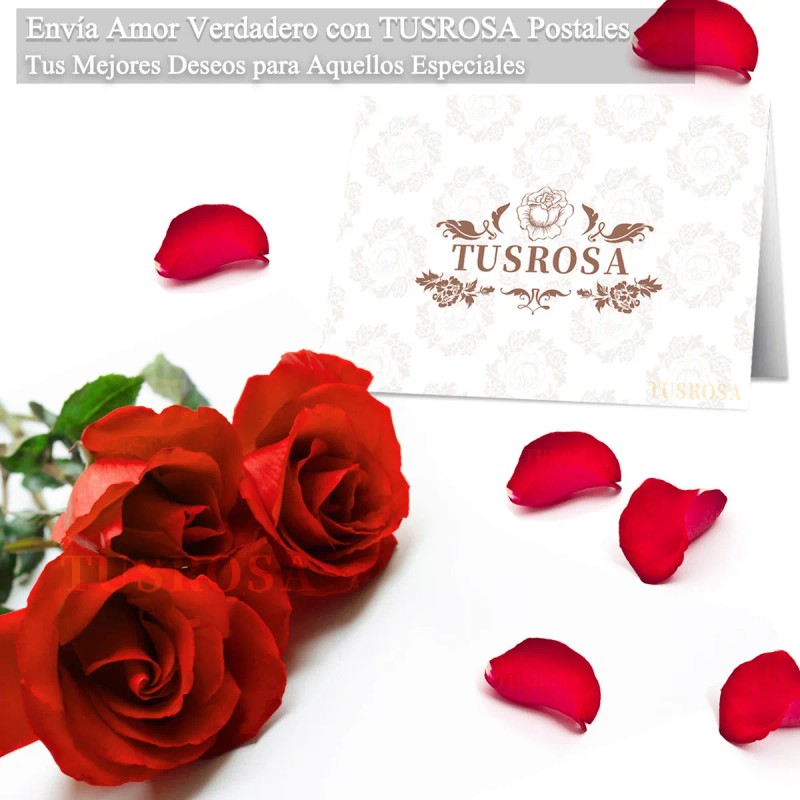 Día de San Valentín Regalos De Mujer Flores Eternas Camino