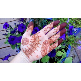 Henna Hair Color Natural Indian Pure No Chemicals BAQ 100 Grams …