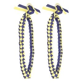 2Pcs Ribbon Leis Double Braided Necklace Graduation Congrats Accessory for Men Women Blue Gold