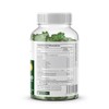 No Bloat Gummies for Gut Health & Digestion – Digestive