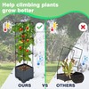 Sumloty 2 Pack Raised Garden Bed Planter Box with Trellis,