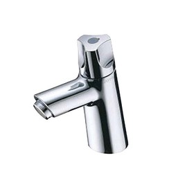 Toto Single Water Faucet (Pedestal Faucet) for General and Cold Areas TLS11R