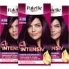 Palette Intensive Creme Colouration 4-99/880 Aubergine (3 x 115 ml),