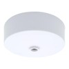 Ceiling Rose White