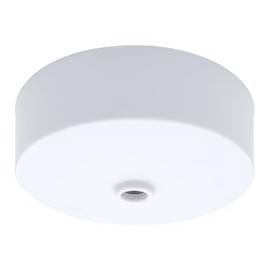 Ceiling Rose White