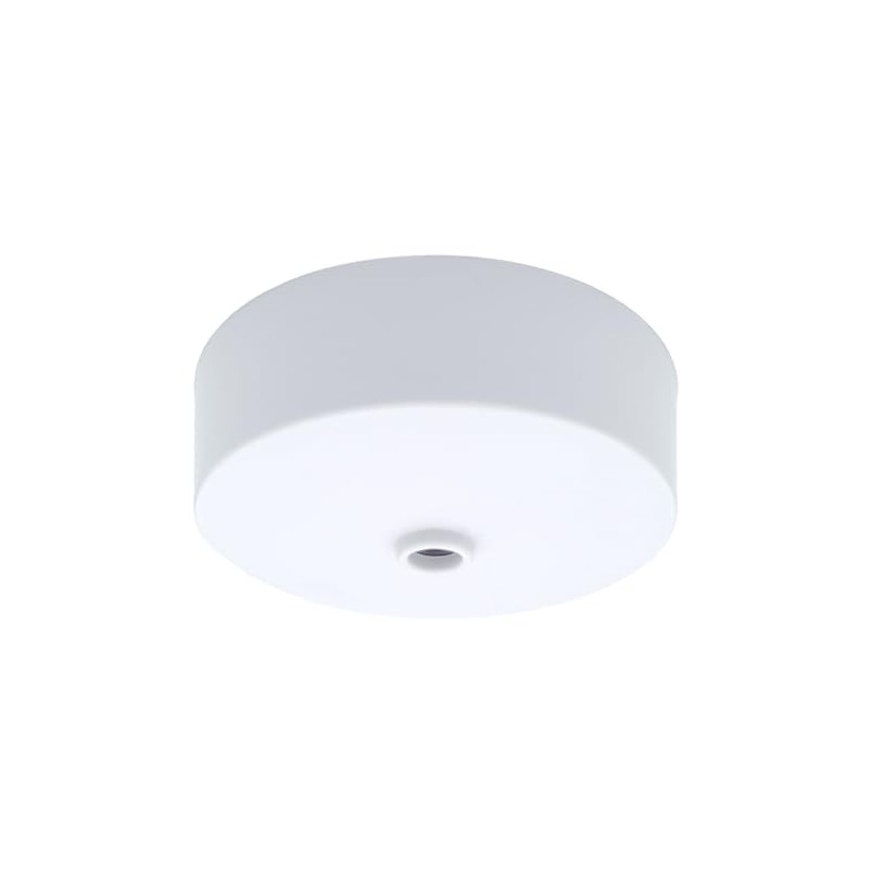 Ceiling Rose White