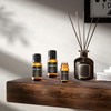 Hotel Diffuser Oil 24K Magic Inspired by The W Hotel