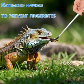 5 Pcs Reptile Feeding Kit with Silicone-Tip Tongs, Flat & Round Spoons, Curved Scissors - Extra Long Stainless Steel Terrarium Tools for Bearded Dragons, Snakes, Spiders, Aquariums & Tank Habitat