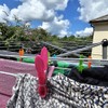 Clothes Pegs, 48 Packs Plastic Clothes Pegs for Washing Line,