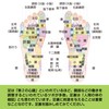 Yokohama Wakuakukan 5-Toe Health Socks, Neat Massage, Painless, Acupressure Socks,