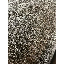 Steiff Schulte German 100% Alpaca Fur Fabric for Teddy Bears DIY, Backing 100% Cotton (25 x 35 cm, 5490 Beige Curly)