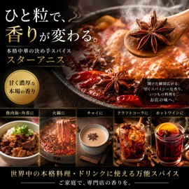Polanite (ポラニーテ) Star Anise (Whole) 50g - Additive-Free, Pesticide-Free, Star Anise, Spice, Herb, Seasoning, Condiment